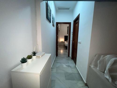 RgHOST-Apartamento La Palma en Casco Histórico, Córdoba (fotografie 9)