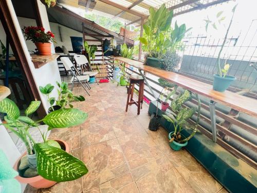 Cheap Hostel Quepos in Quepos