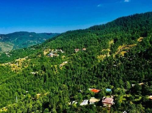 RedApple Hotel & Restaurent Murree - image 6