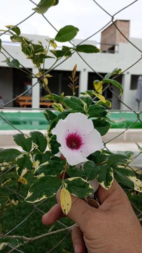 COMPLEJO MAINUMBI DUPLEX 1 near Mercedesi repülőtér