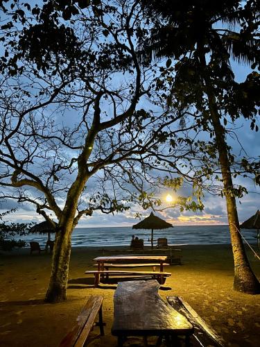 Driftwood Village Resort
