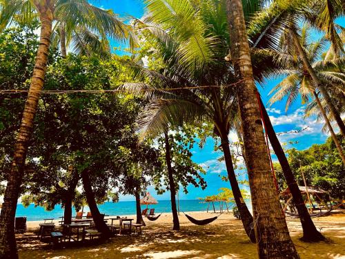 Driftwood Village Resort