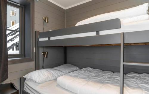 Awesome Apartment In Hemsedal With Wifi