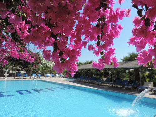 Corfu Hotel - image 5