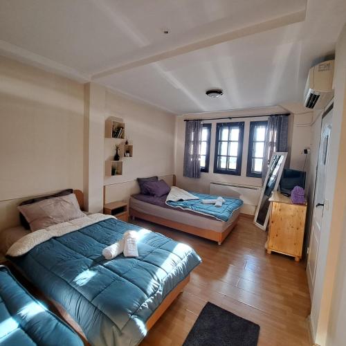 Aura house in Dolna Banya