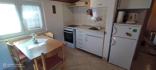 廚房, apartmani Nina Šišan (apartmani Nina Sisan) in 利斯也