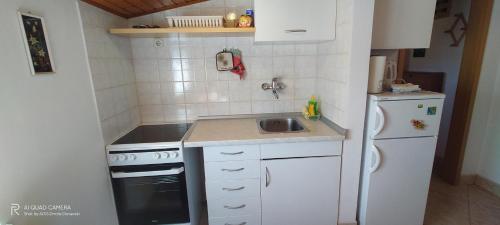 廚房, apartmani Nina Šišan (apartmani Nina Sisan) in 利斯也