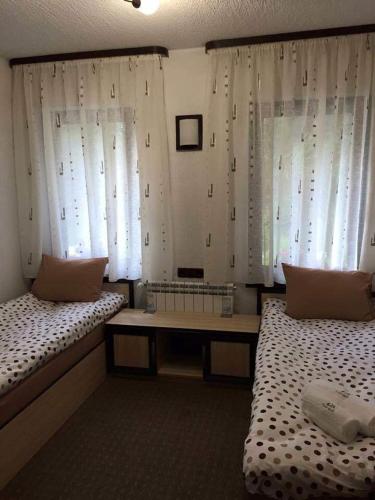 Family Hotel Ginger
