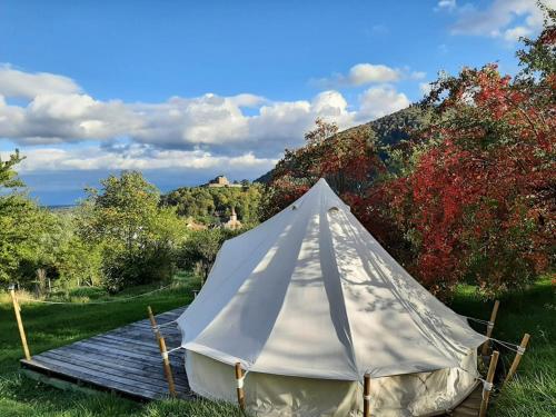 . Glamping Cisnadioara