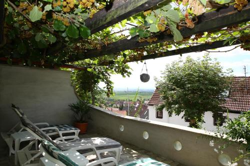 Hotel Pension Weinberg mit Landhaus Nizza - image 14