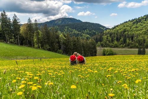 Ferienwohnung "Dorfliebe" mit privater Sauna und 4 Schlafzimmern in Breitnau in Breitnau