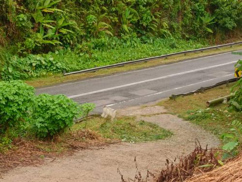 مدخل, منزل 240 متر مربع من 1 غرفة و1 حمام خاص في Jeli (Jeli Heights Hill Home) in Jeli