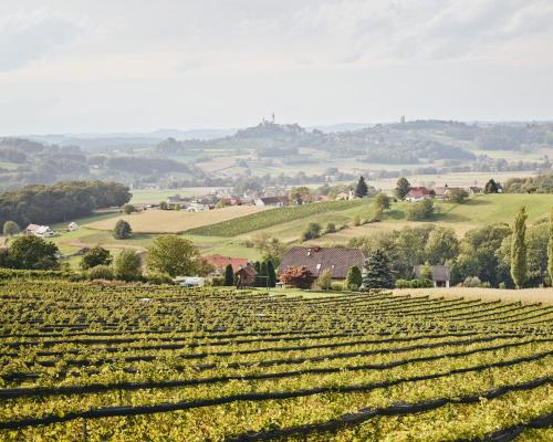 Kellerstöckl am Neusetzberg - Location saisonnière - Straden