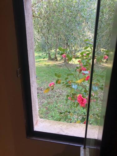 Agriturismo La Pieve Colle di Val d' Elsa Italy