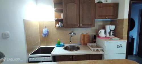 廚房, apartmani Nina Šišan (apartmani Nina Sisan) in 利斯也