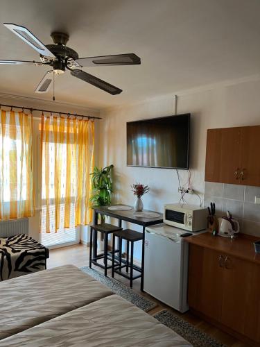 Studio with Terrace and Air Conditioning (3 Adults)