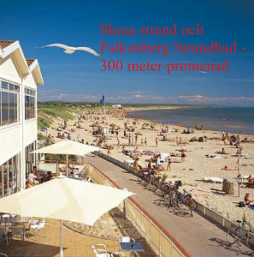 해변, 300 m till Skrea Strand och nära till centrum (300 m till Skrea Strand och nara till centrum) in 팔켄베리
