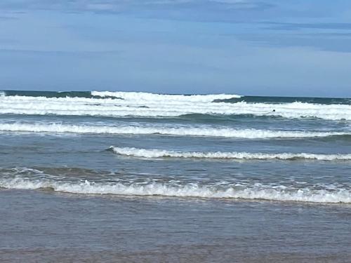 Driftwood Water Views Ocean Grove