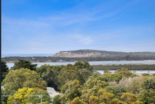 Driftwood Water Views Ocean Grove