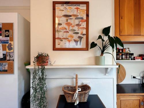 Enchanting Vintage House at South Hobart