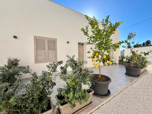 Lumie dello Stagnone Holiday Apartments