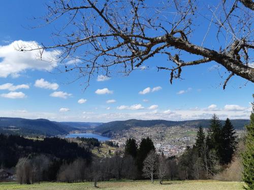 Les Gouttridos, studio vue lac - Location saisonnière - Gérardmer