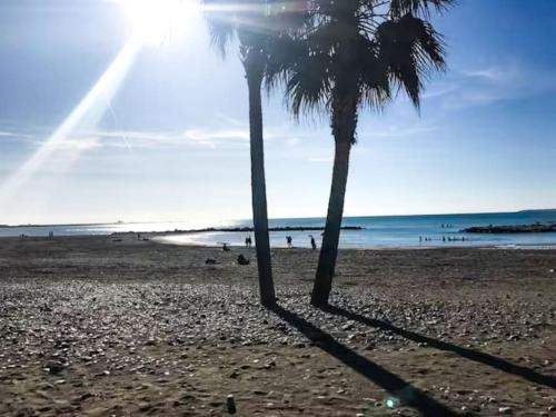 Front Beach YourHostHelper - Location saisonnière - Saint-Laurent-du-Var