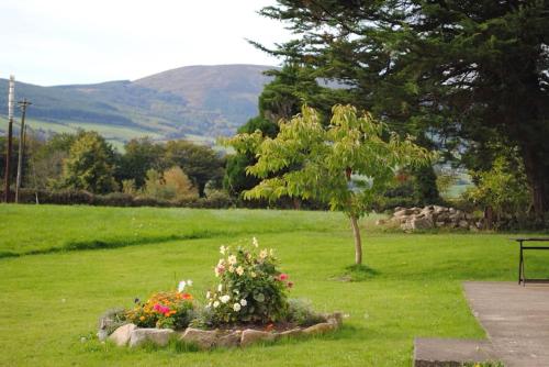 Deerpark Holiday cottages Dairy