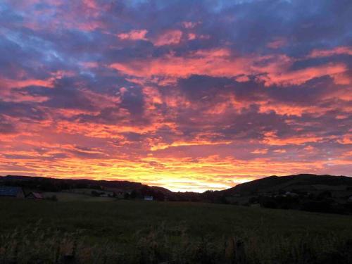 Deerpark Holiday cottages Dairy