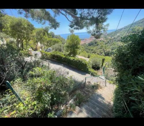 10 min de Monaco petite maison avec jardin vue mer et rocher de Monaco