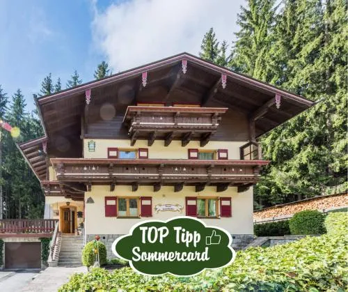 Almliesl NEUK-467 in Neukirchen am Großvenediger, Österreich