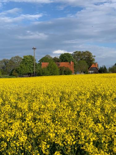 Ferienwohnung Segeln und Angeln in Grabowhofe