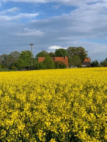 Ferienwohnung Segeln und Angeln in Grabowhöfe, Deutschland