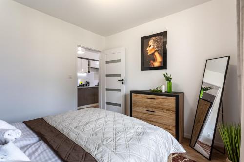 Apart Invest Apartament Żeromskiego B3, Szklarska Poręba (photo 8)