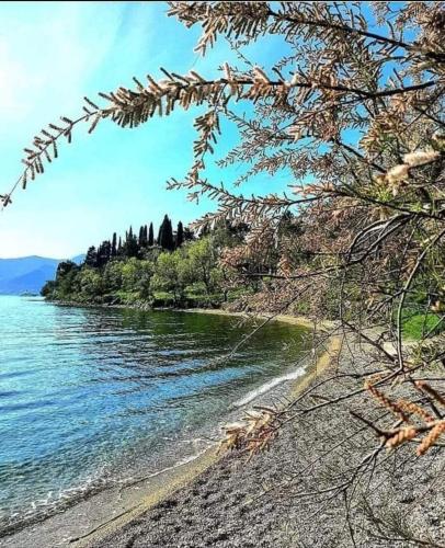 Apartmani Bekonja - image 14