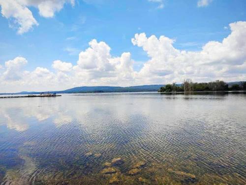 The Lucky Lodge at Lake Guntersville - Mountain Lakes