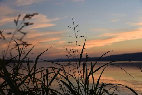 The Lucky Lodge at Lake Guntersville - Mountain Lakes