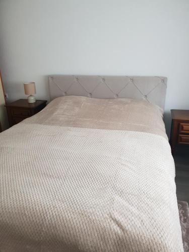 Apartman Centar