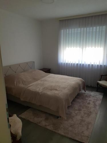 Apartman Centar