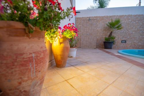 Hotel Altamarea - image 12