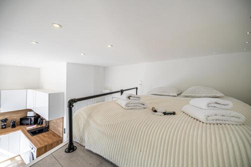 34 BORNIOL - Bel appartement rénové avec mezzanine Cannes, Cannes (fotografie 10)