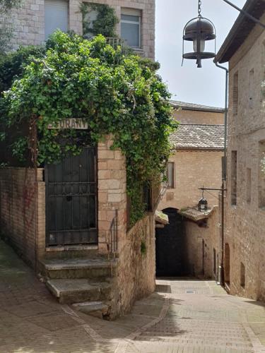 La perla di Tamara-Assisi blu