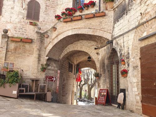 La perla di Tamara-Assisi blu