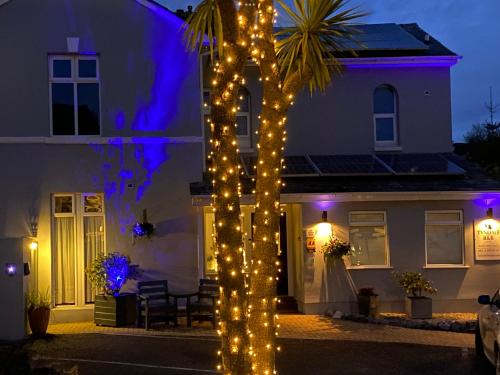 Tyndale B&B Torquay - image 10