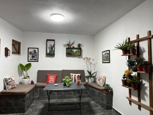 Villa Dona - image 4