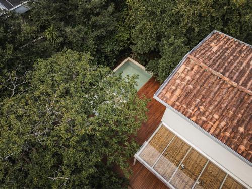 Casa Selva, a unique luxury house in the heart of El Poblado, Medellín (fotografie 5)