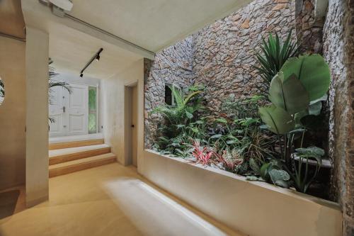 Casa Selva, a unique luxury house in the heart of El Poblado, Medellín (fotografie 6)