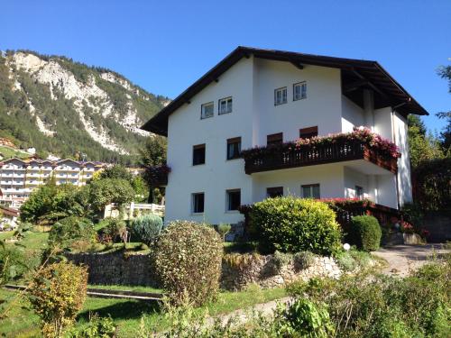 Villa Ginestra - Apartment - Molveno / Pradel