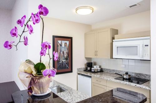Premium Studio Full Kitchen Queen image 6
