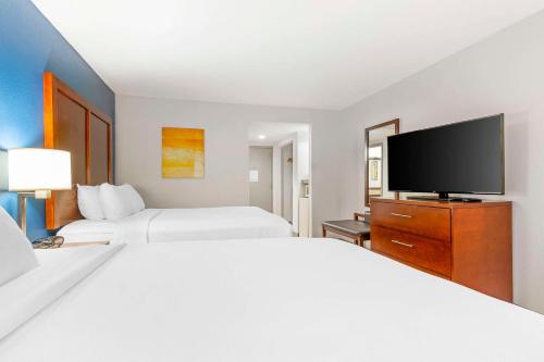 Comfort Inn Near Six Flags St. Louis - image 6